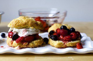 shortcake picture 4.jpg