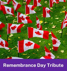 Remembrance Day Tribute